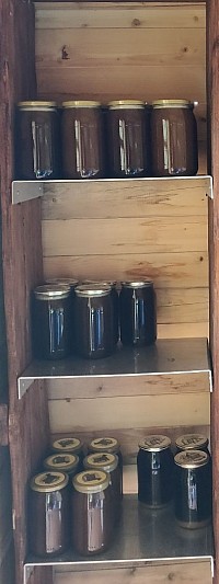 Spadź liściasta